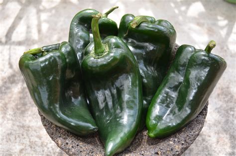 Poblano Peppers - Vibrant World Flavors