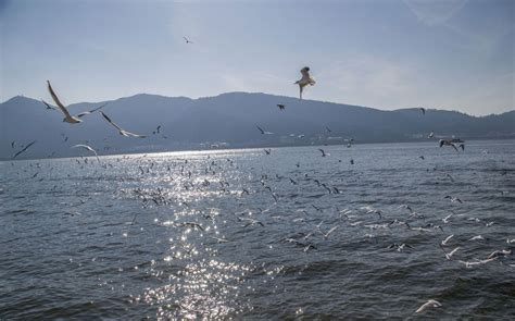 A Day At The Dian Lake1days Places To Visit Kunming Lake