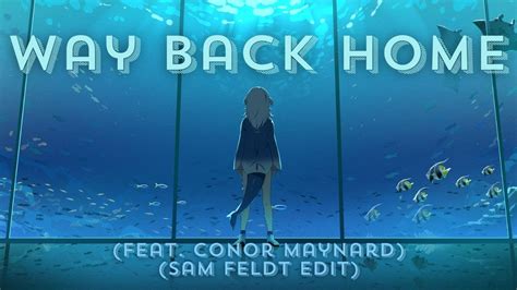 Shaun Feat Conor Maynard Way Back Home Sam Feldt Edit Covered By