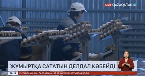 Нарықта жұмыртқа сататын делдалдар көбейіп кетті - «Qazaqstan» Ұлттық ...