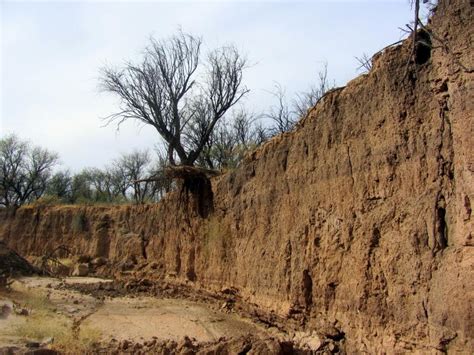 Bank erosion on San Pedro River | AZGS