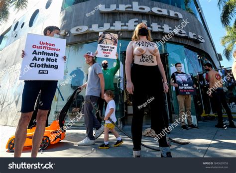 Peta Activists Revealing Naked Truth Wool Stock Photo Edit Now