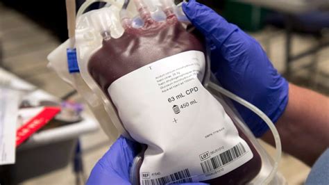 Jehovah's Witness, 14, ordered to receive blood transfusion despite ...