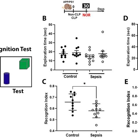 Cognitive Impairment Evaluated By Novel Object Recognition NOR Task