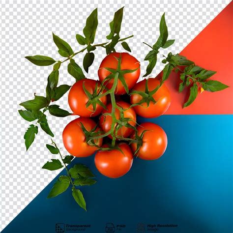 Premium Psd Fresh Red Tomatoes With Leaves Isolated On Transparent