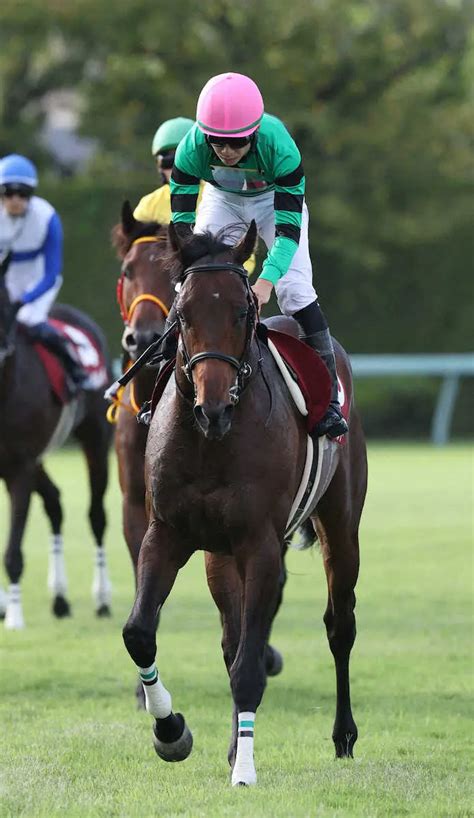 【神戸新聞杯】1番人気ハーツコンチェルト5着 急坂で伸び切れず重賞初制覇はお預け― スポニチ Sponichi Annex ギャンブル