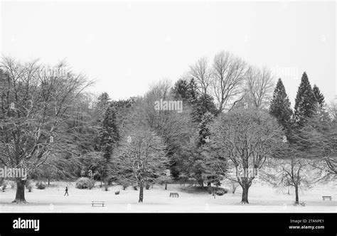 La Nevicata Del Dicembre Crea Una Scena Invernale Al Mill Green