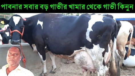 ১৫ থেকে ৩০ লিটার দুধের মুন্ডি গাভী দেখুন। স্টাম্পে লিখিত গ্যারান্টি