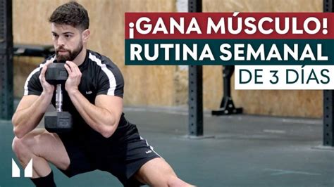 Rutinas de gimnasio para hombres entrenamientos de 3 días para