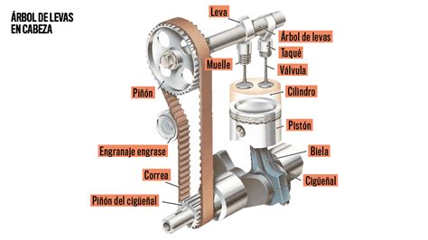 Mec Nica B Sica C Mo Funciona El Rbol De Levas Autobild Es