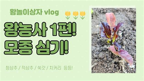 왕 농사 1편 텃밭에 모종 심기 브이로그 Vlog Youtube