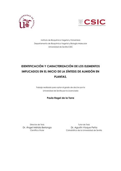 PDF IDENTIFICACIÓN Y CARACTERIZACIÓN DE LOS ELEMENTOS Instituto