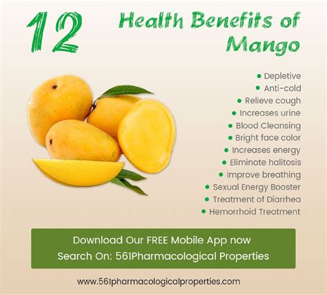 Calaméo Mango Health Benefits And Side Effects