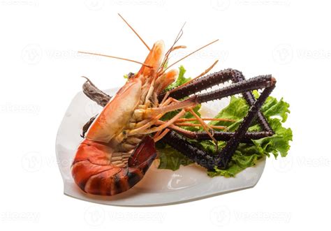 Giant Freshwater Prawn 11239674 Stock Photo at Vecteezy