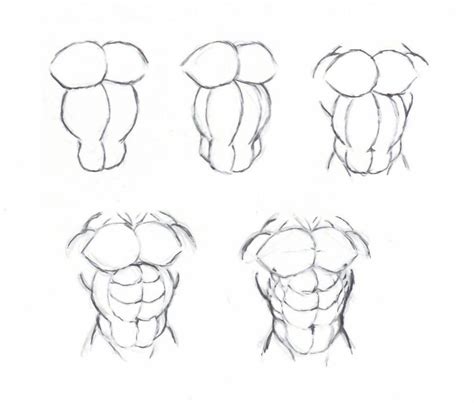 Draw Muscle Torso By Krigg On Deviantart Drawing Reference Poses