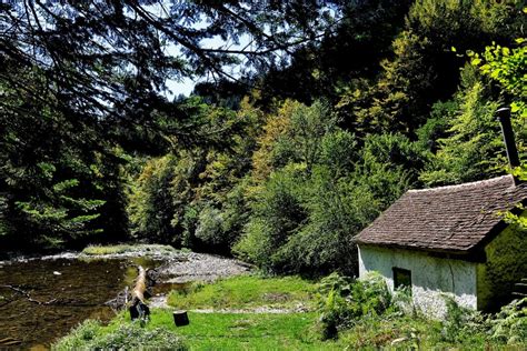 Pueblos Para Adentrarnos En La Selva De Irati