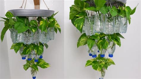 Diy Recycled Plastic Bottle Wall Hanging Garden Idea With Money Plants