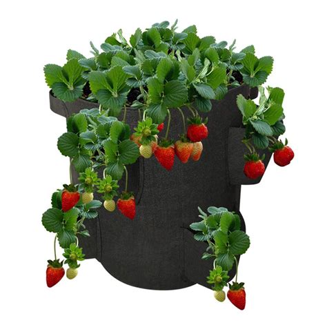 Jardini Re Sac Rond R Utilisable Pour Plantes En Plein Air Pot De