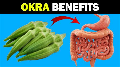 12 Amazing Okra Health Benefits You Should Know Youtube