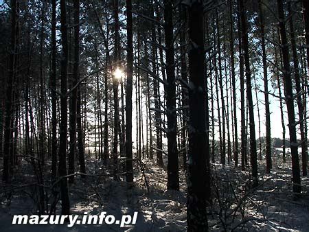 Mazury Info Pl