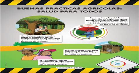 Buenas PrÁcticas Agricolas Salud Para … Practicas · Buenas