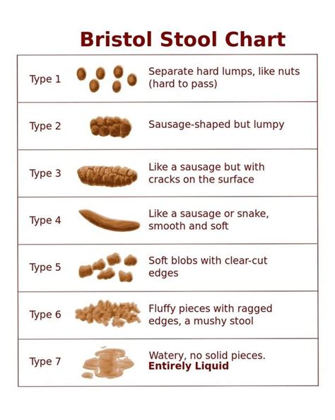 Bristol Stool Scale Bristol Stool Chart Gut Health Health And