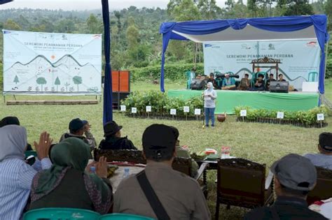 Puluhan Ribu Bibit Pohon Di Tanam Di Garut Infobaik Media