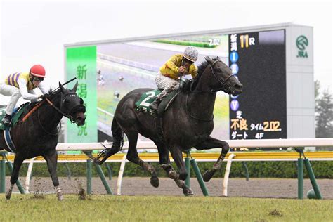 【新潟大賞典の注目点】1番人気馬が大苦戦のハンデ戦 昨年の覇者カラテは今年もトップハンデ背負う｜競馬ニュース｜競馬予想のウマニティ