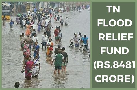 Tamil Nadu seeks Rs.8,481 crore flood relief - PGurus