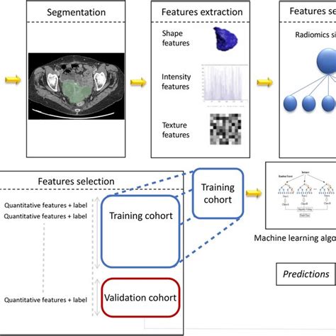 Schematic Summarizing The Process Of Radiomics Download Scientific Diagram