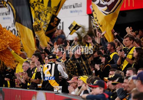 Afl 2022 Second Elimination Final Brisbane V Richmond 1000191 Afl Photos