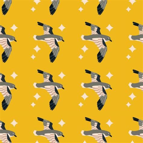 Pattern with petrel bird. 24223144 Vector Art at Vecteezy