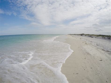 Tourists are checking the hourly weather clearwater for beach trips 3
