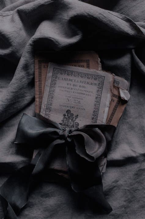 Pin On Aes Historical Romance French Aesthetic 1800s Aesthetic