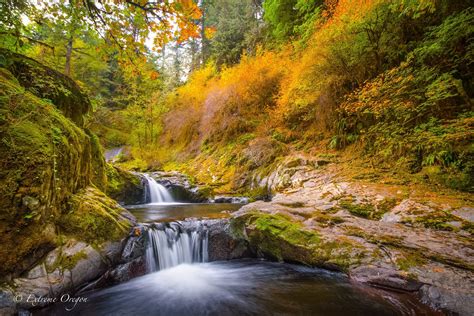 Fall In Oregons Eugene Cascades And Coast Region Continuously