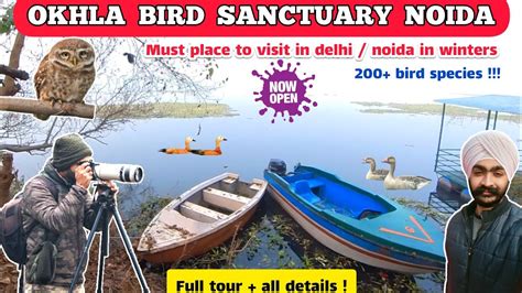 Okhla Bird Sanctuary Delhi Noida Full Tour All Information Best