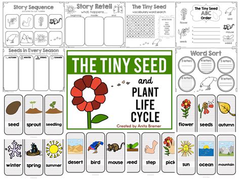 The Tiny Seed Book Activities Mrs Bremers Class Worksheets Library