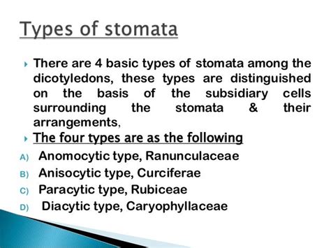 Types of stomata