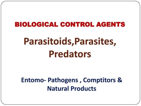 Biological Control Of Forest Insect Pests