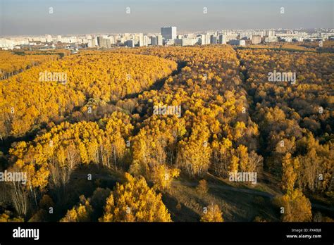Bitsevski park hi-res stock photography and images - Alamy
