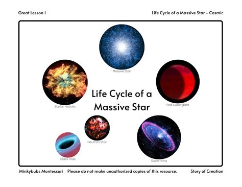 Average Star Life Cycle