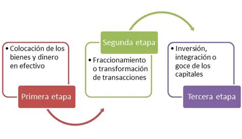 ¿cuántas Etapas Hay En El Lavado De Dinero Haras Dadinco