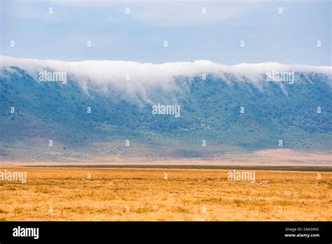 Ngorongoro crater lake magadi in hi-res stock photography and images ...