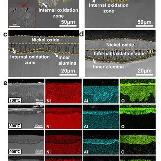 Cross Sectional Microstructures Se Images Of Oxide Scales Formed On