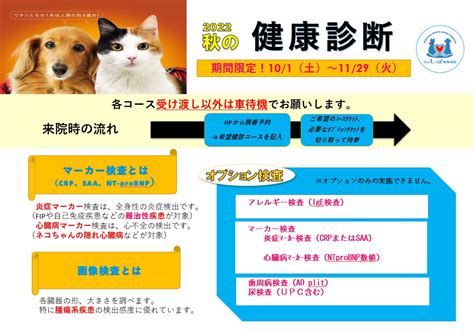 動物病院滋賀県健康診断 滋賀県守山市の守山しっぽ動物病院