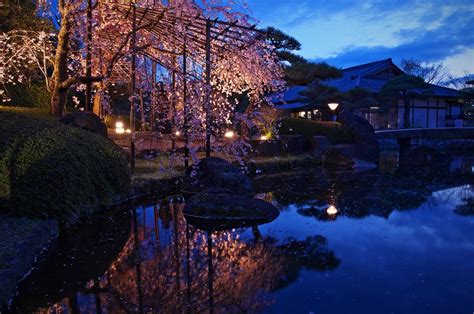 姫路城西御屋敷跡庭園 好古園 観光スポット ひめのみち