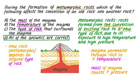 Metamorphic Rock Formation