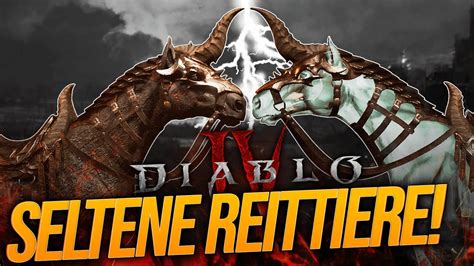 Wie Du SELTENE MOUNTS Findest Effizient Reittiere Sammeln Diablo 4