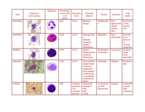 Cuadro De Leucocitos Tipo Apariencia Microsc Pica