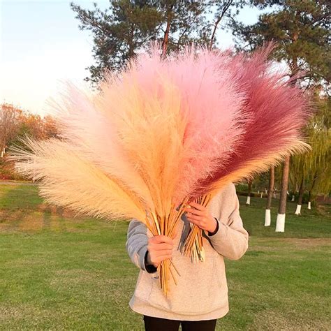 46r 5pcs Artificial Pampas Grass Bouquet Faux Dried Reed Flower For Home Living Decor Diy Wedd